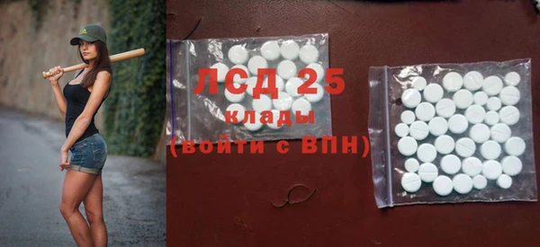соль ск Инсар